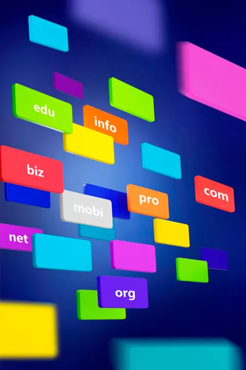 Registro de Dominios